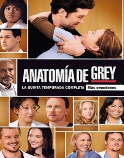 Anatomía de Grey T5