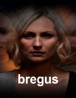 Bregus stream