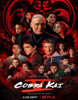 Cobra Kai stream