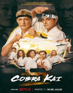 Cobra Kai T6