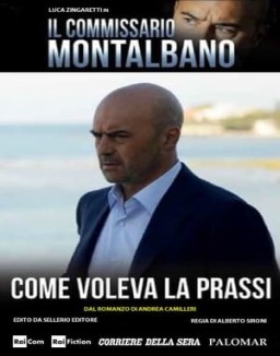 Comisario Montalbano temporada  11 online