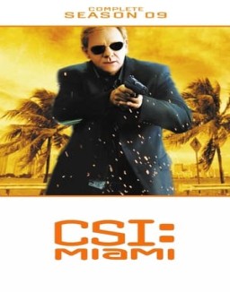 CSI: Miami stream