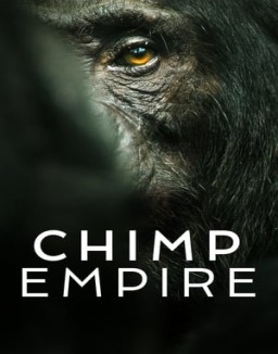 El imperio de los chimpancés online gratis