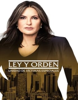 Ley y orden: Unidad de Víctimas Especiales T23