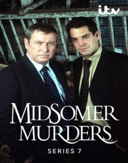 Los asesinatos de Midsomer temporada  7 online