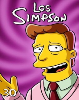 Los Simpson T30