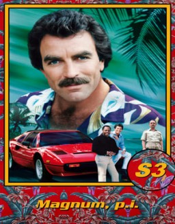 Magnum T3