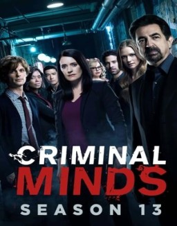 Mentes criminales temporada  13 online