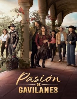 Pasión de gavilanes