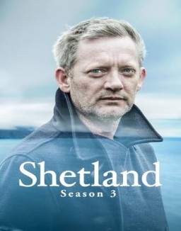 Shetland T3