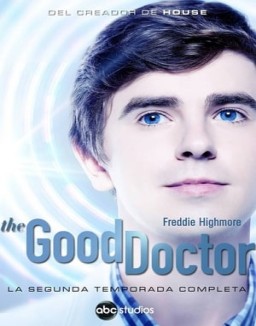 The Good Doctor temporada  2 online